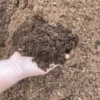 tuinturf