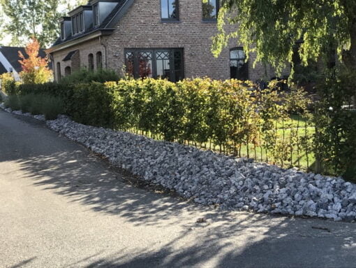 Ardenner Breuksteen Aangelegd