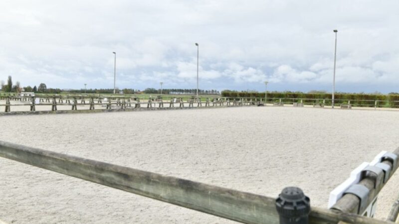 Verkeerd zand in de paardenbak