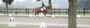 Kosten aanleggen paardenbak