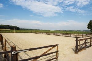 aanleg paardenbak