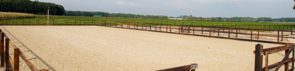 Paardenbak