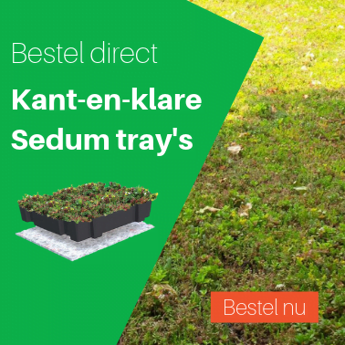 ZC_Ad 10x10_Sedumtray