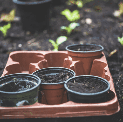 betekenis Graan aardappel Scherp zand kopen | Zandcompleet - Specialist in Zand & Grind