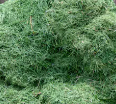 wat is mulch - Grasmaaisel