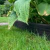 Multi edge ECO Zwart aangelegd