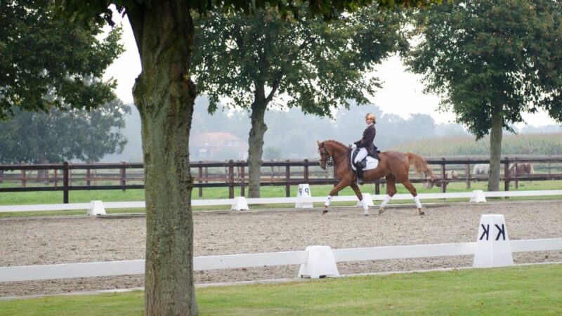 Uitbreiden paardenbak